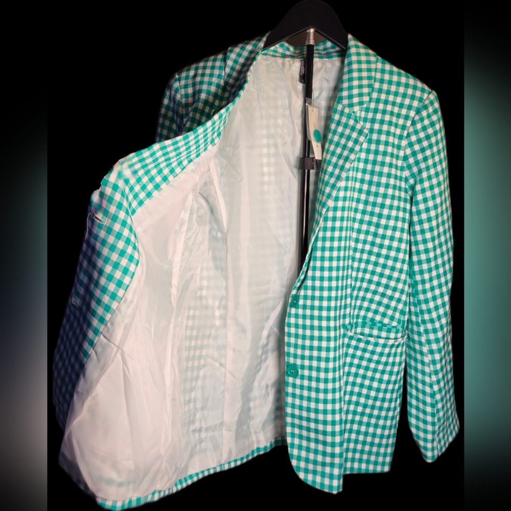 NWT Francesca’s ALYA Green Gingham Blazer Large Preppy Spring Jacket Checkered - Picture 7 of 9